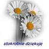 Kliknij, aby powiększyć