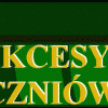Kliknij, aby powiększyć